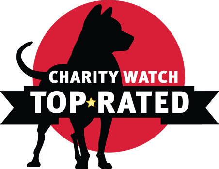 CharityWatch