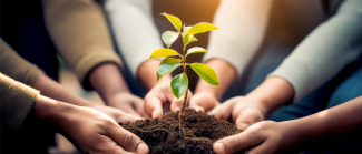 Donor-Advised Funds